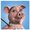 Photo of Qype User (sports…)