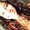 Photo of Raquel S.