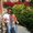 Photo of Sohaib B.