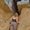 Photo of Juliet E.