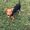 Photo of Shana M.