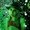 Photo of Daae G.