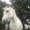 Photo of Qype User (puravi…)