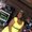 Photo of Dena T.