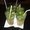 Photo of Qype User (ngoc-l…)