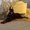 Photo of Varun N.