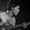 Photo of Deb O.