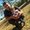 Photo of Eliseo S.