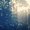 Photo of Lily Ann B.