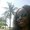 Photo of Trenese J.