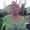 Photo of Ms R.