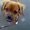 Photo of Luna L.