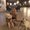 Photo of Karina G.