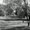 Photo of Vivian L.
