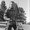 Photo of Nash W.