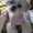 Photo of MrMrs Z.