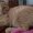 Photo of Angela D.
