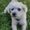 Photo of Nori E.