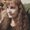 Photo of Diana R.