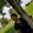Photo of Evodie N.
