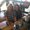 Photo of Shelli N.