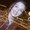 Photo of Michaela C.