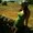 Photo of Valerie S.