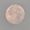 Photo of Moon J.