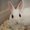 Photo of Chubu L.