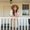 Photo of Serena M.