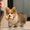 Photo of Jujube R.