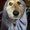 Photo of MaddyGrace E.