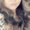 Photo of Selena Y.