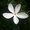 Photo of Annaliese P.