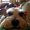 Photo of Mindy H.