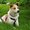 Photo of Qype User (seelen…)