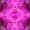 Photo of SilverChix '.