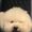 Photo of Kim J.
