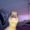 Photo of Cavan