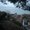 Photo of Yelitza C.