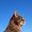 Photo of Qype User (gifhor…)