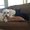 Photo of Kathie M.