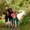 Photo of Amparo Sandra C.
