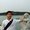 Photo of Yicheng Y.