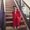 Photo of Shabnam S.
