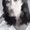 Photo of Stephanie Y.