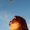 Photo of Irina G.