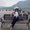 Photo of Ximena O.