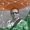 Photo of Deepak J.