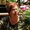Photo of Karen J.
